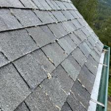 Roof Treatment Moss Removal Spokane 5