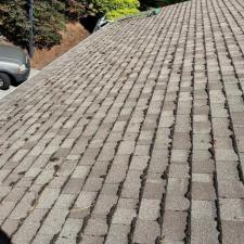 moss-removal-treatment-northwood-neighborhood-spokane-wa 6