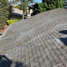 moss-removal-treatment-northwood-neighborhood-spokane-wa 7