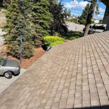 moss-removal-treatment-northwood-neighborhood-spokane-wa 8