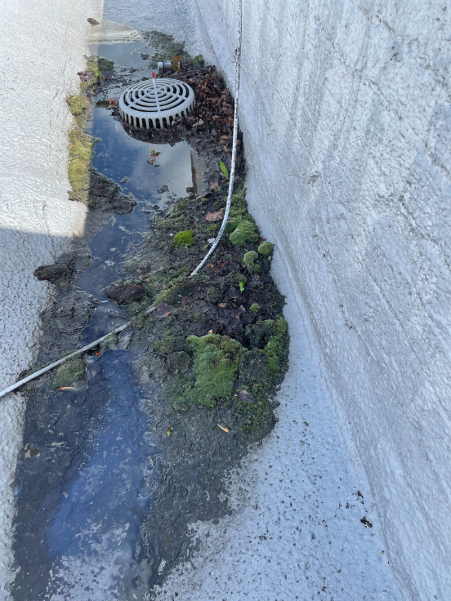 Commercial Building Roof Drain Clean Out in Spokane, WA | Grace ...