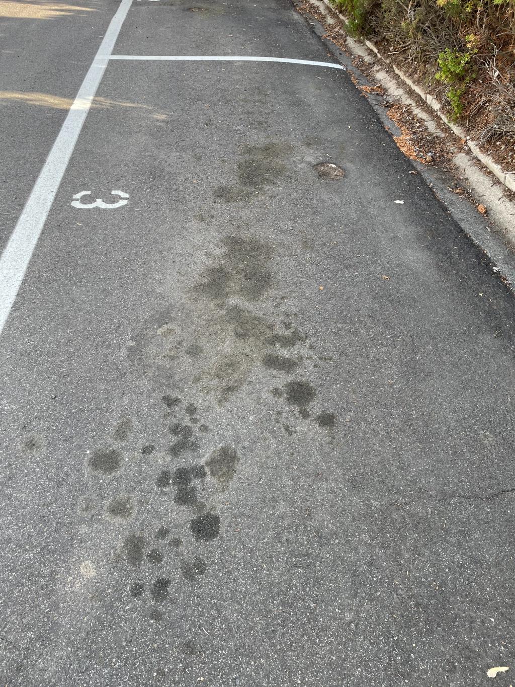 Asphalt parking lot oil stain removal Spokane WA