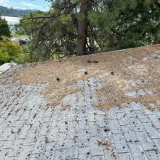 Roof-Clean-Off-and-Chemical-Treatment-in-Coeur-dAlene-ID 4