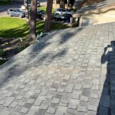 Successful-Moss-Removal-Chemical-Treatment-Completed-in-Spokane-Valley-WA 1