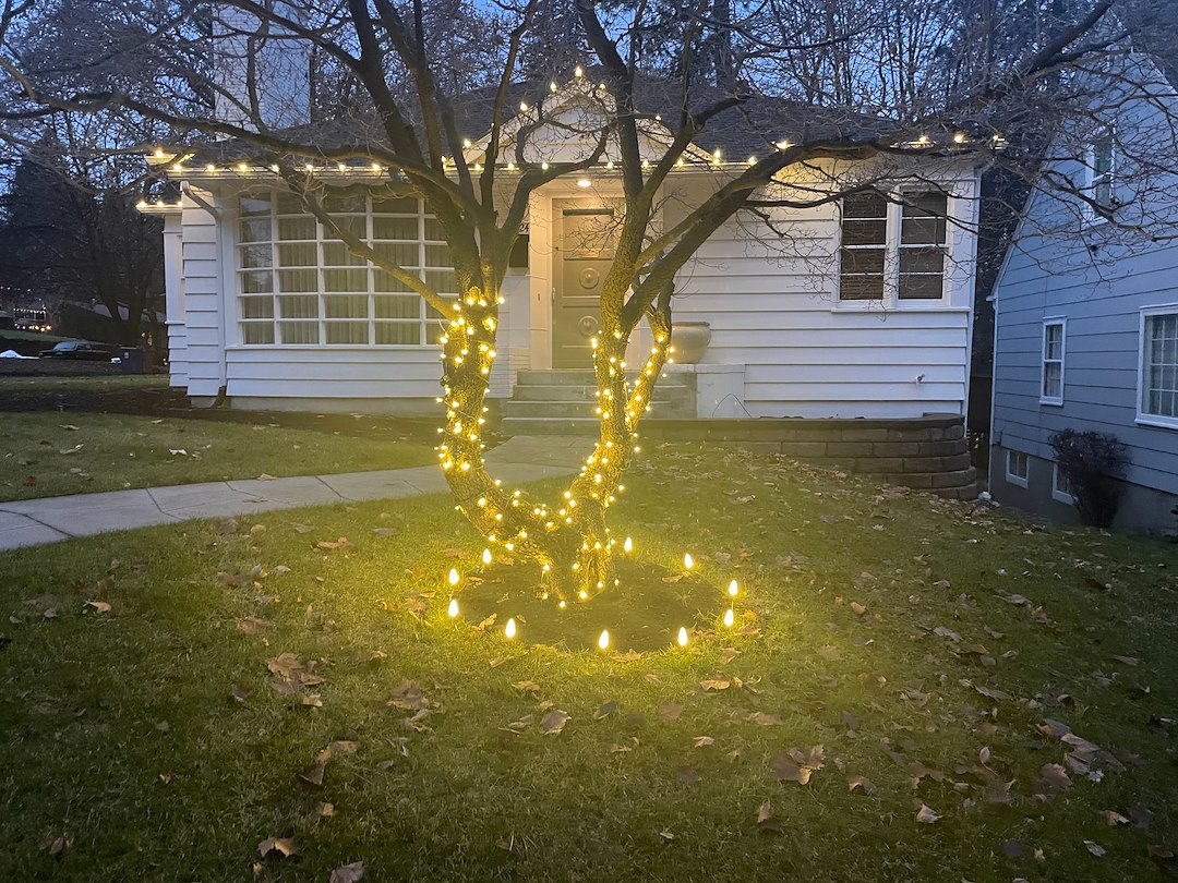 Terrific Tree Wrap Christmas Light Installation Spokane WA